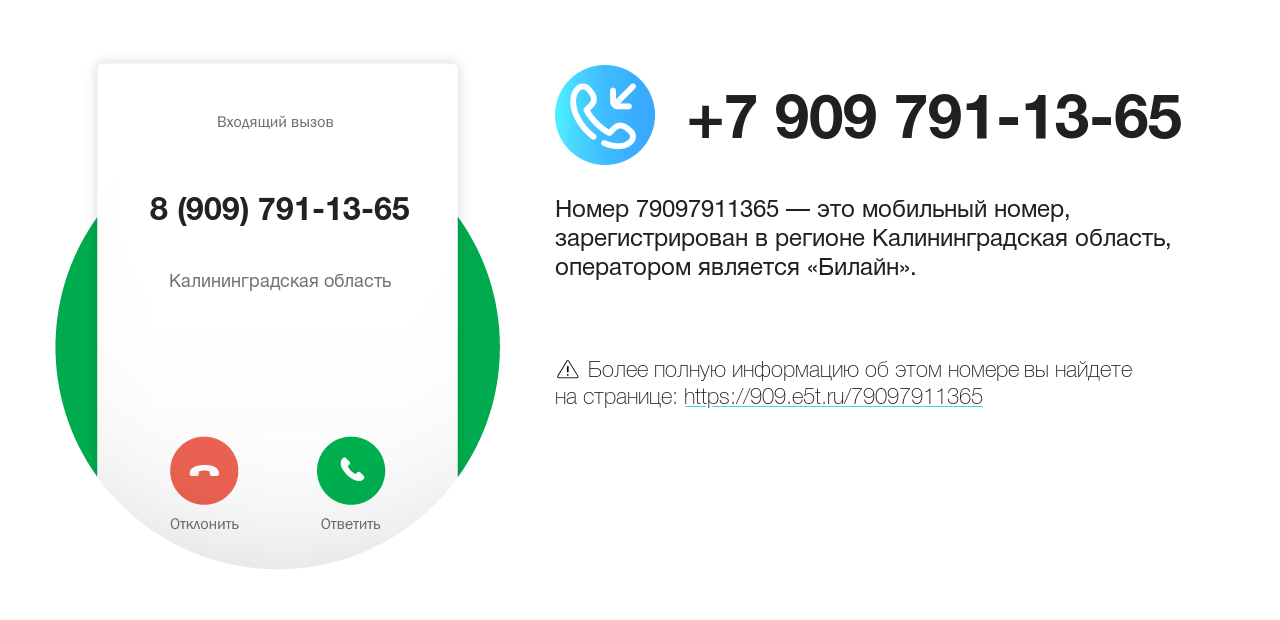 Номер телефона 8 (909) 791-13-65